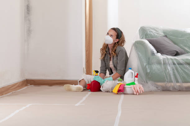 Reliable Mold Cleanup contractor in Chatham, NJ by Cheap Mold Removal